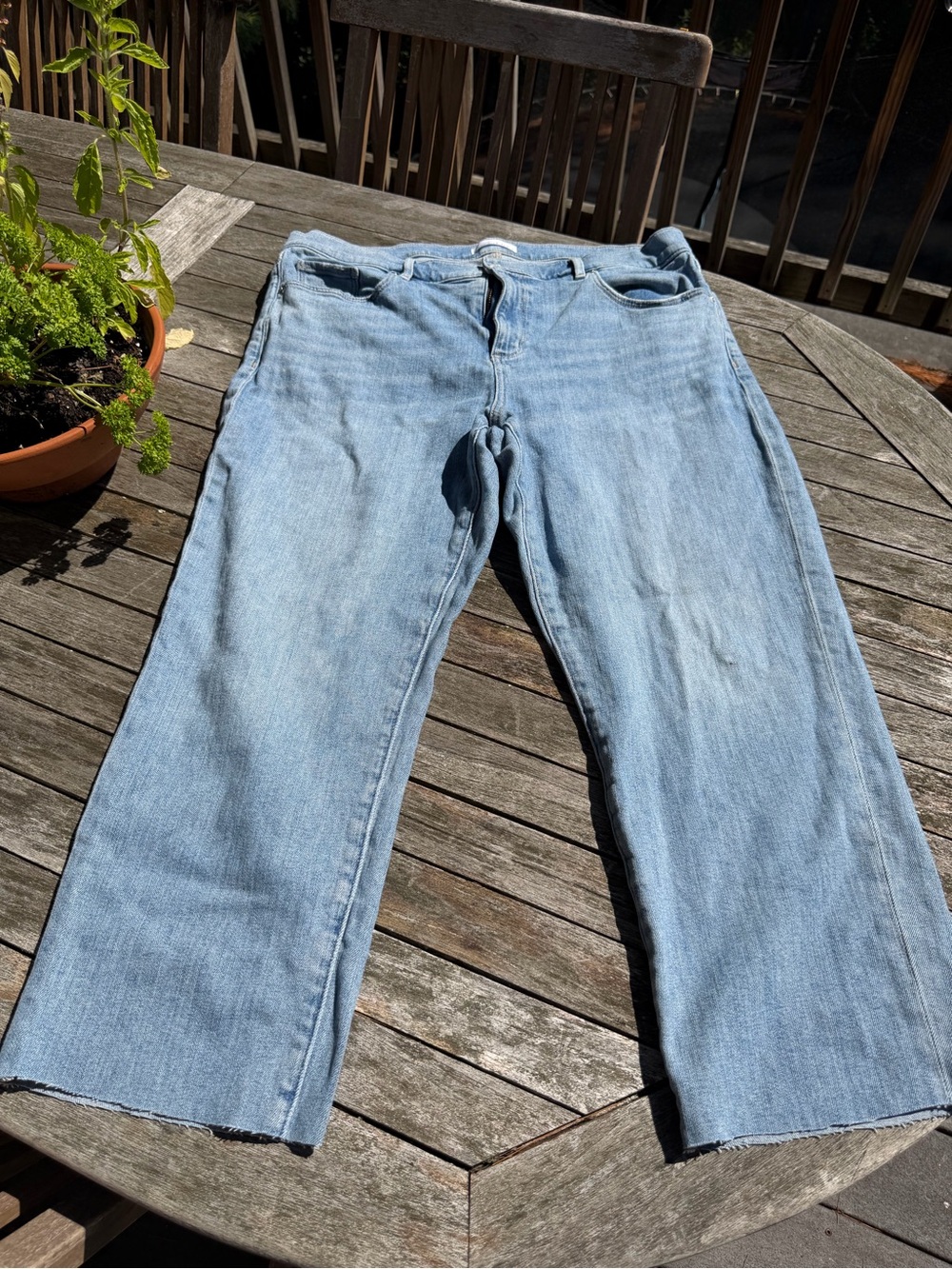 LOFT Light Blue Women's Straight-Leg Cropped Jeans 32/14